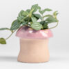 Toadstool Planter – Pink – Large
