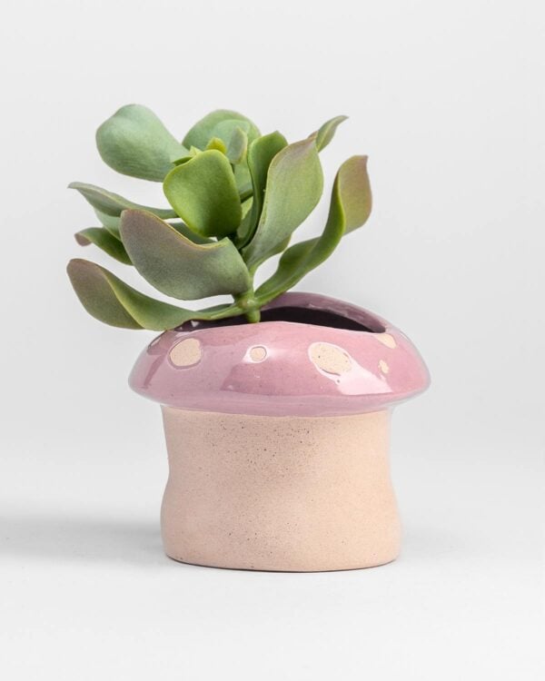 Toadstool Planter – Pink – Small