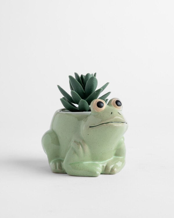 Frog Planter