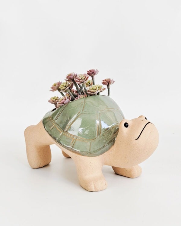 Turtle Planter – Large