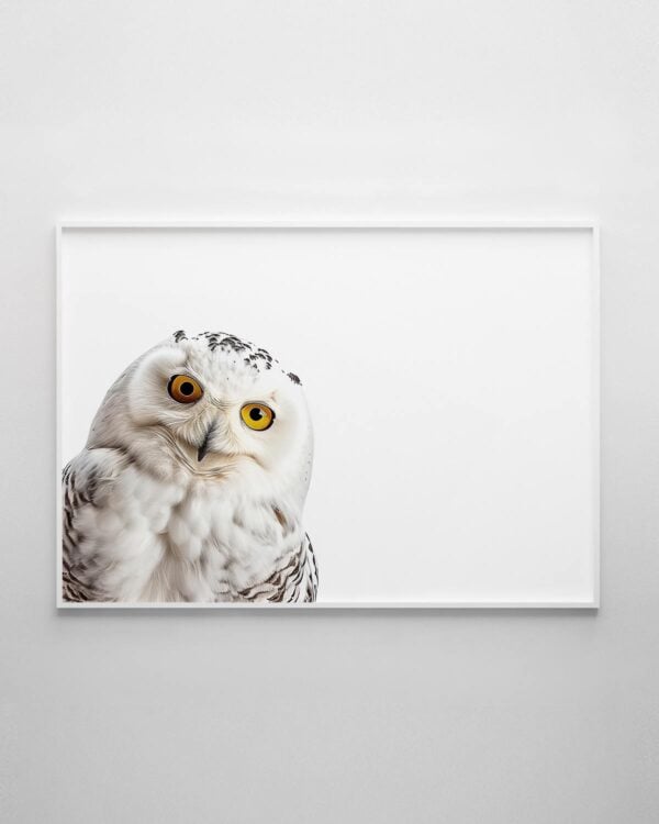 Snowy Owl Print