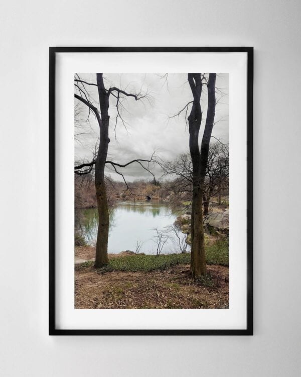Central Park in Winter Print
