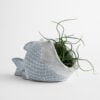 Fish Planter