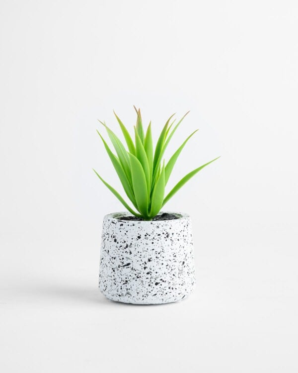 Mini Jas Pot – White