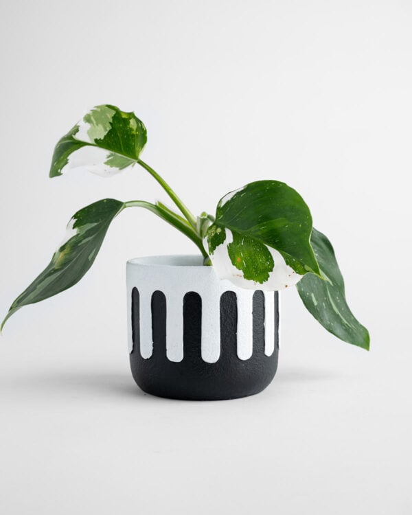 Kasbah Hand-Painted Planter