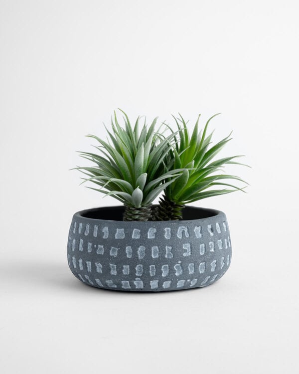 Leah Planter – Charcoal