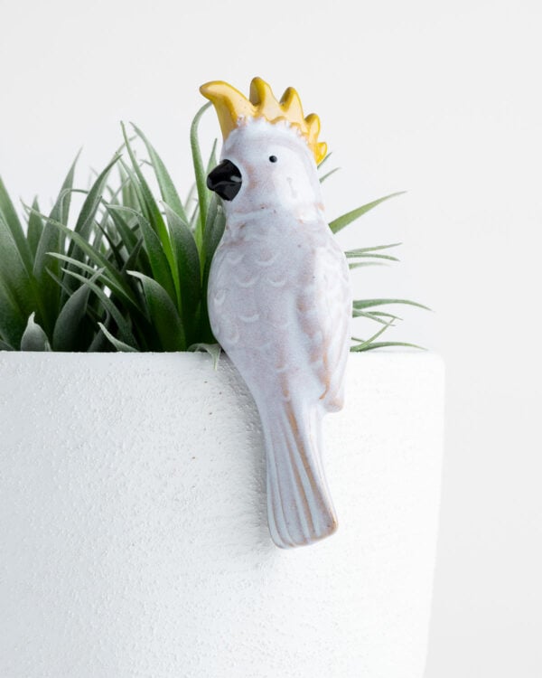 Cockatoo Pot Hanger