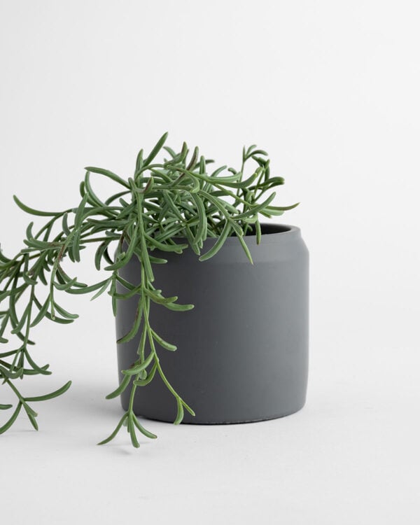 Tessa Planter – Grey