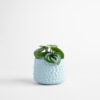 Winslow Planter – Blue