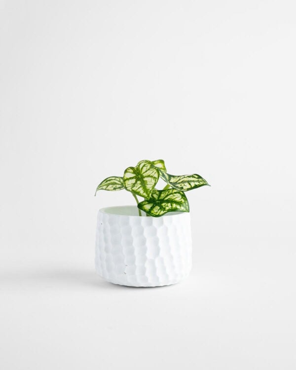 Winslow Planter – White
