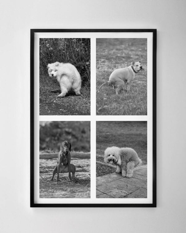 Pooch Pit Stop Print