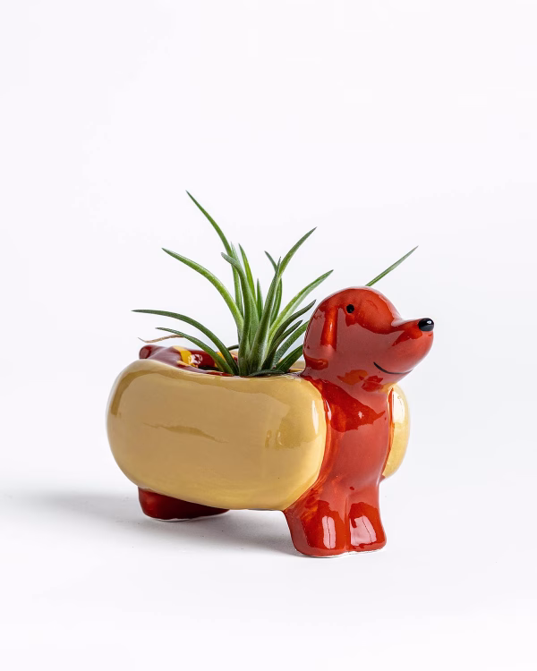 Hot Dog Planter