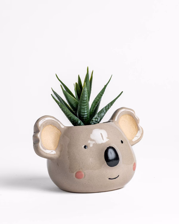 Koala Planter