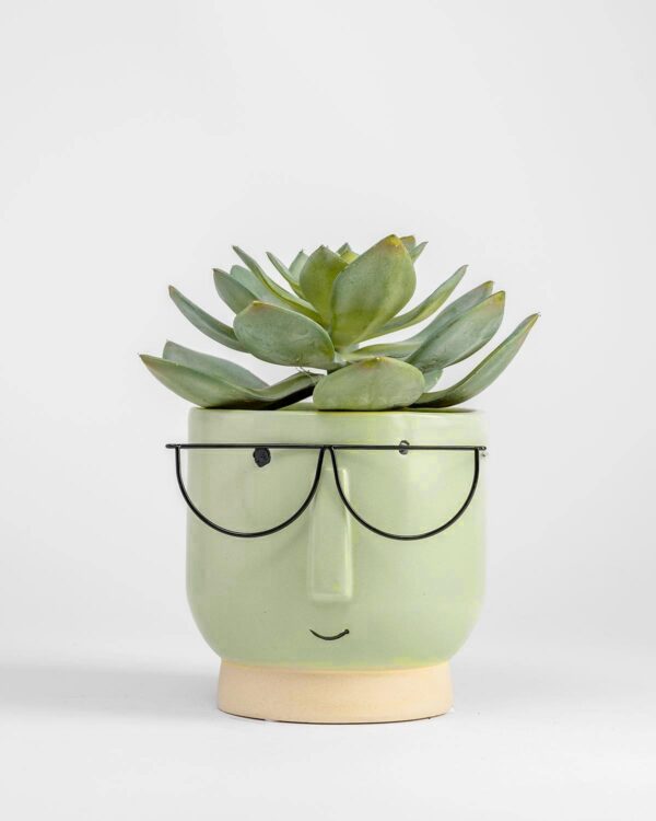 Blake Planter – Green