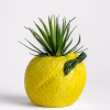 Lemon Planter