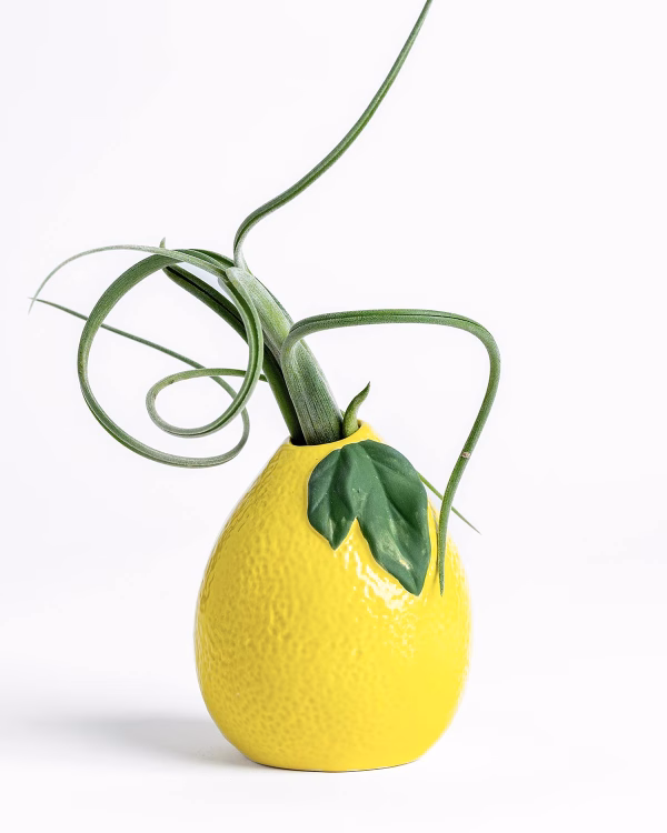 Lemon Vase