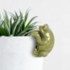 Frog Pot Hanger
