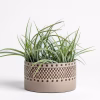 Thea Tribal Planter