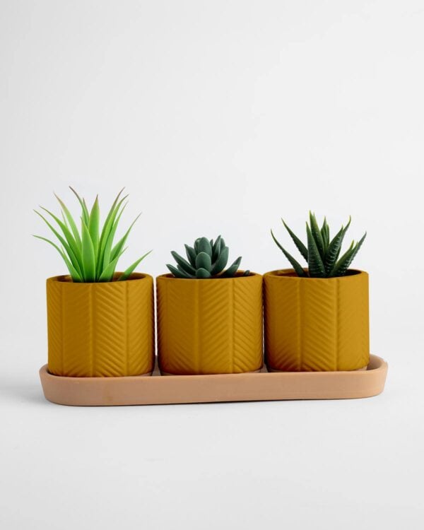 Zari Planter Trio – Mustard