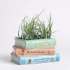 Book Stack Planter