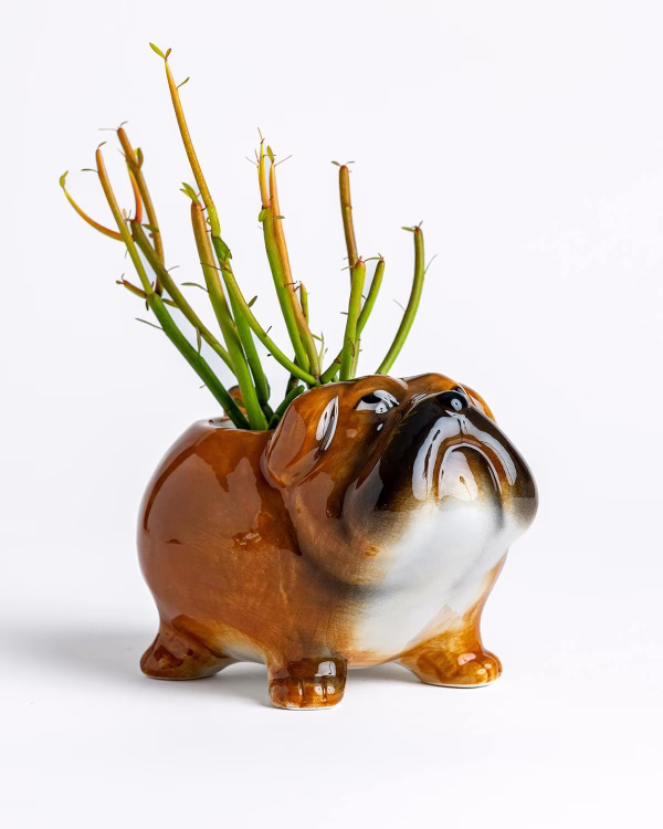 Bullwinkle Dog Planter