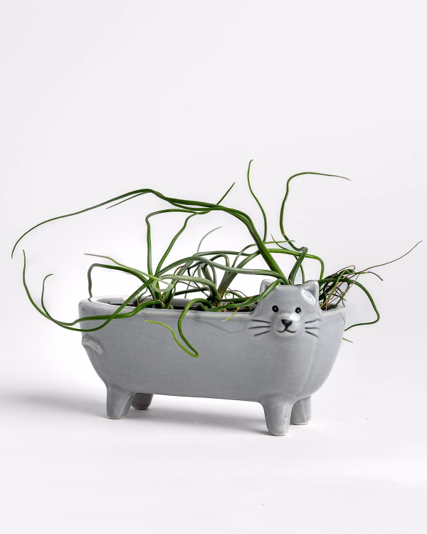 Long Cat Planter