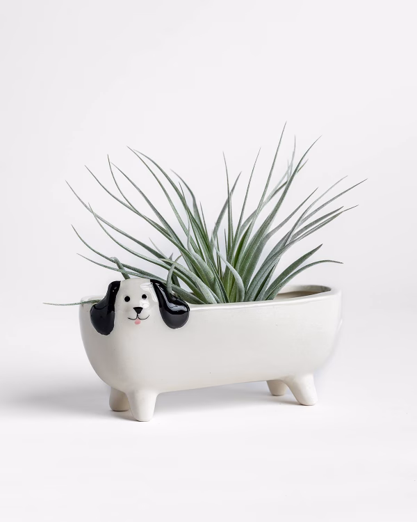 Long Dog Planter