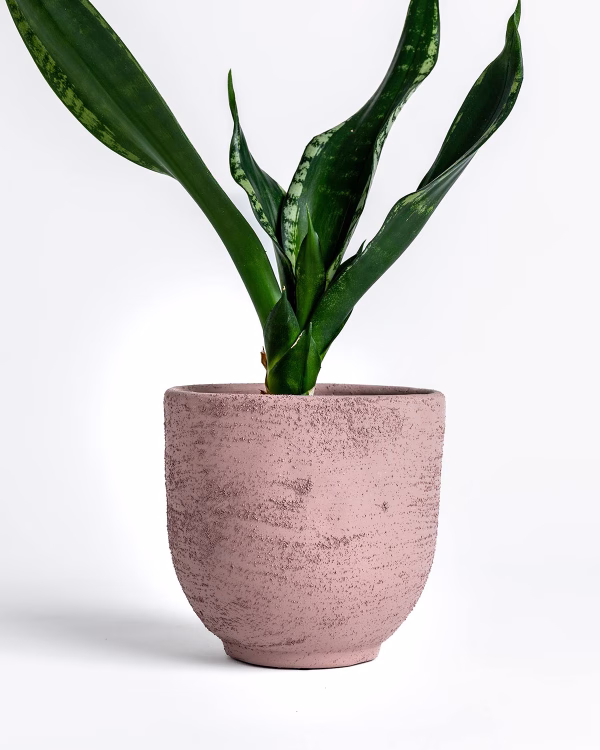 Orson Planter - Medium - Pink