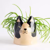 Bailey Cat Planter – Black