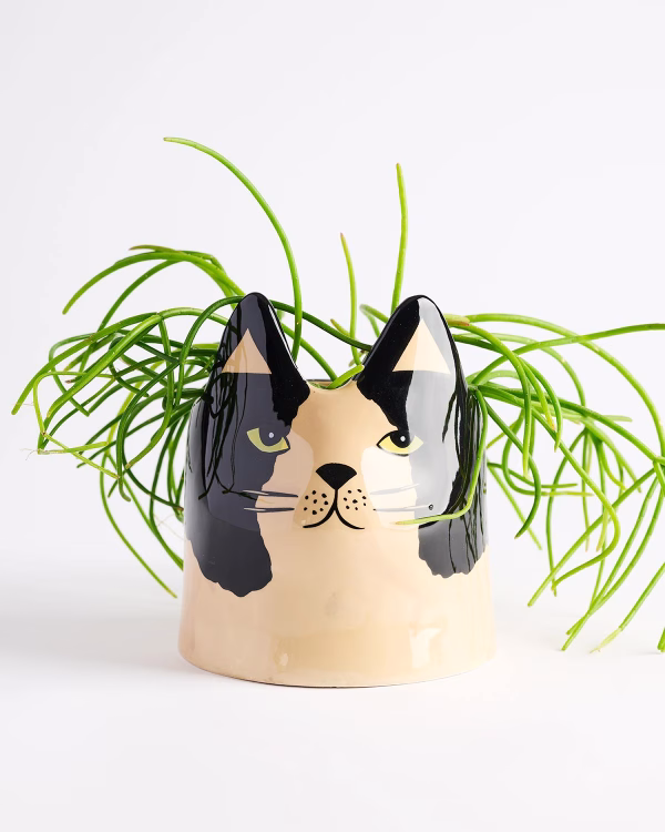 Bailey Cat Planter – Black