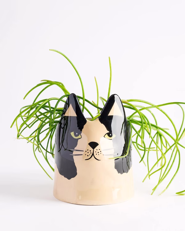 Bailey Cat Planter – Black