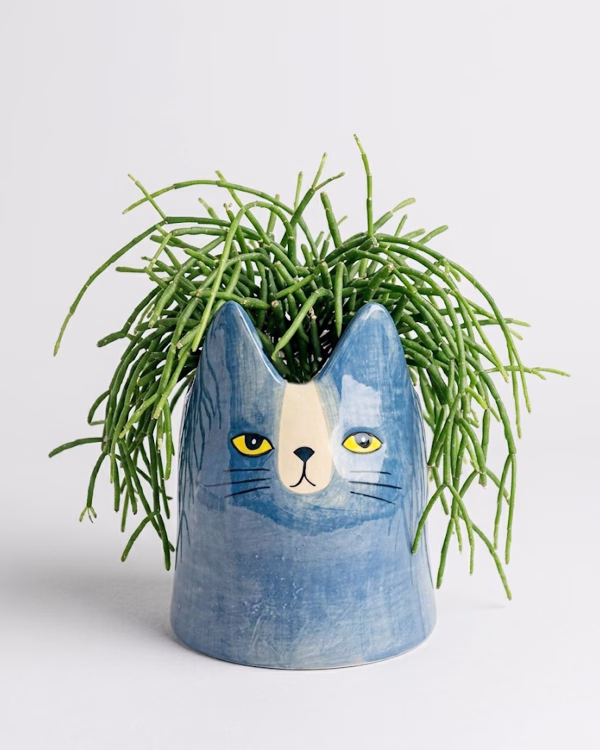 Bailey Cat Planter – Blue