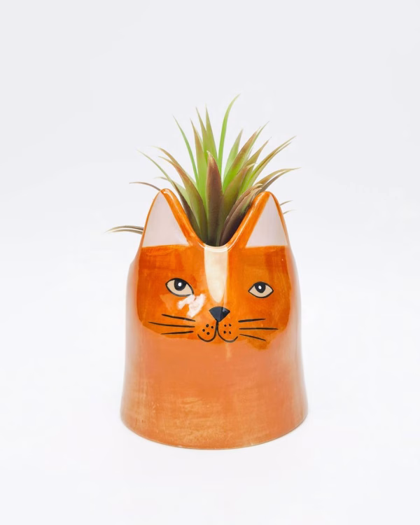 Bailey Cat Planter – Orange