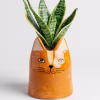 Bailey Cat Planter – Orange