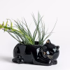 Black Cat Planter