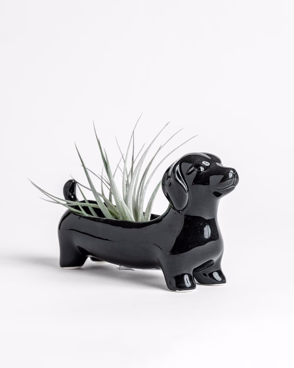 Dachshund Planter – Large – Black