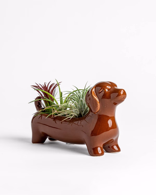 Dachshund Planter – Large – Brown