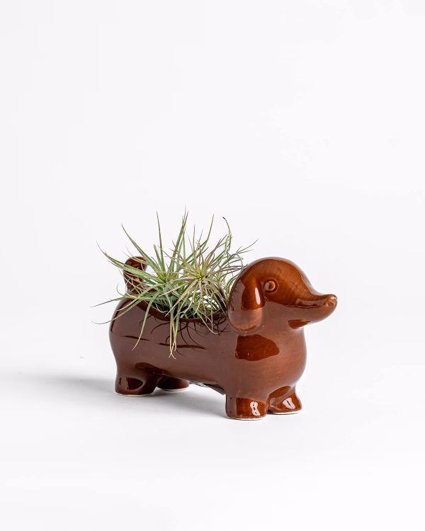 Dachshund Planter – Small – Brown