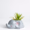Mini Elephant Planter