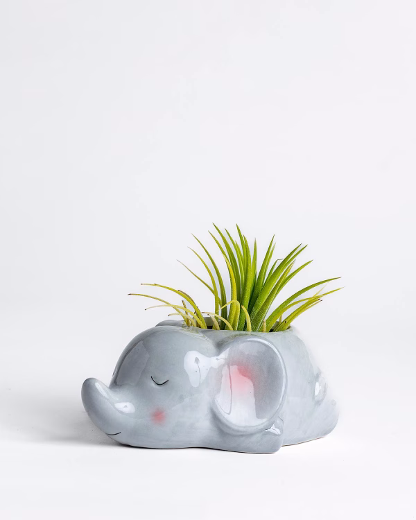 Mini Elephant Planter