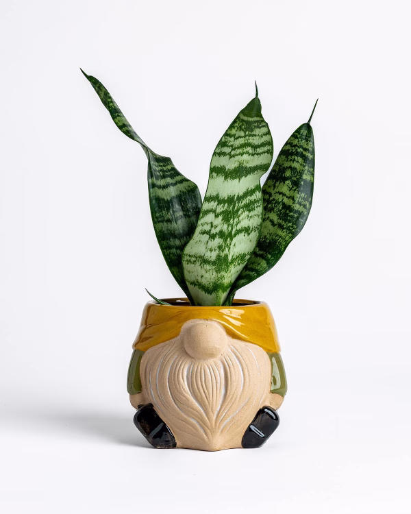 Gnome Planter