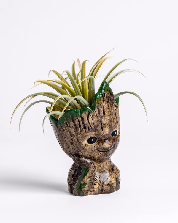 Groot Planter No.1