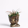 Groot Planter No.2