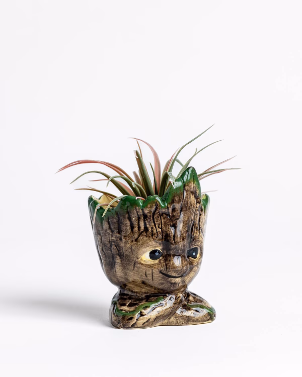 Groot Planter No.2