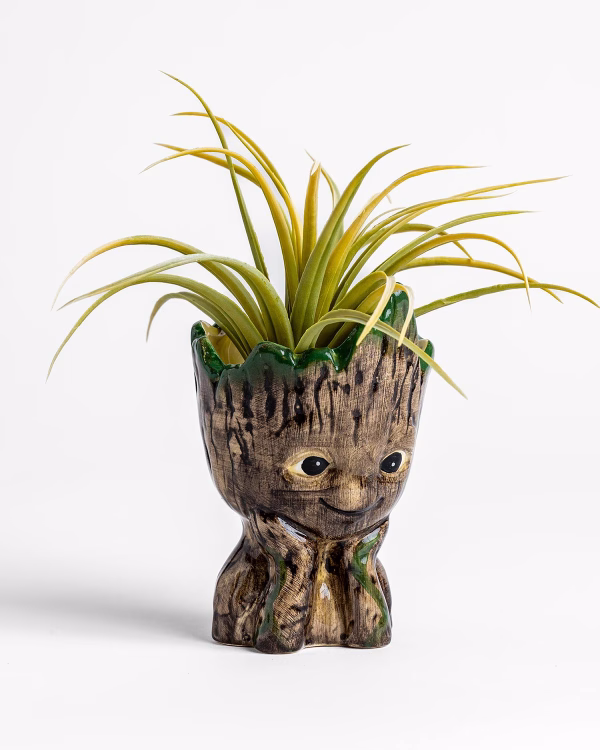 Groot Planter No.3