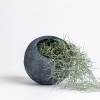 Ithaca Planter – Grey – Medium