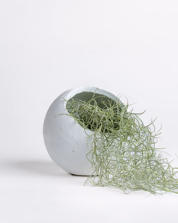 Ithaca Planter – White – Medium