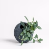 Ithaca Planter – Grey – Small