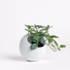 Ithaca Planter – White – Small