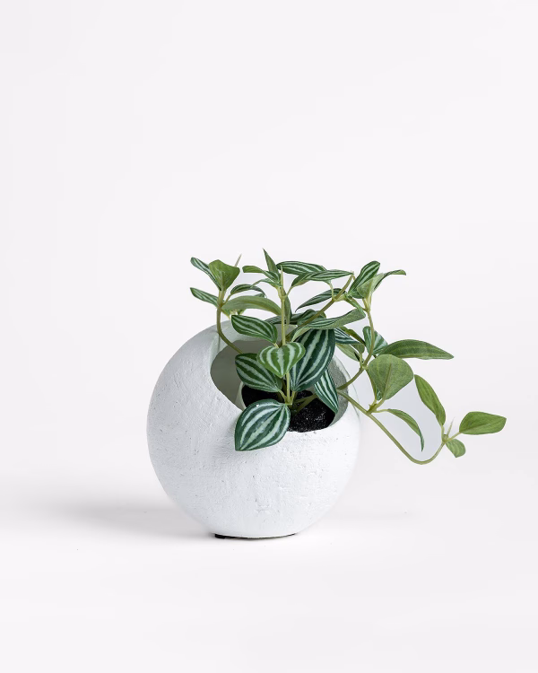 Ithaca Planter – White – Small